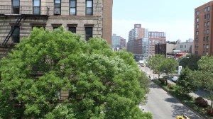 f/5.6, ISO-160, 1/400sec. Whiter sun, crisper detail, no blur.  Cooler tone.